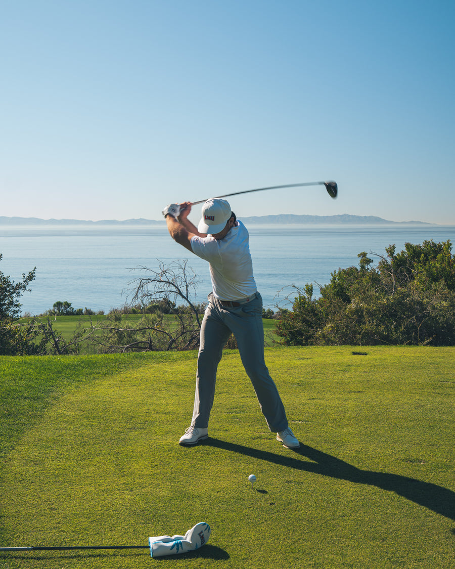 The roaring lion collection